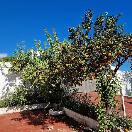 Costa Апарт-готель