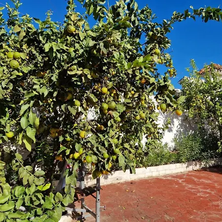 Apartmanhotel Costa Marbella