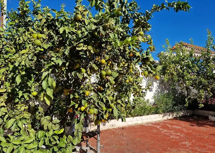 아파트호텔 Costa 마르베야