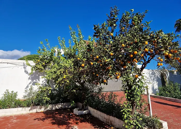 Costa 아파트호텔