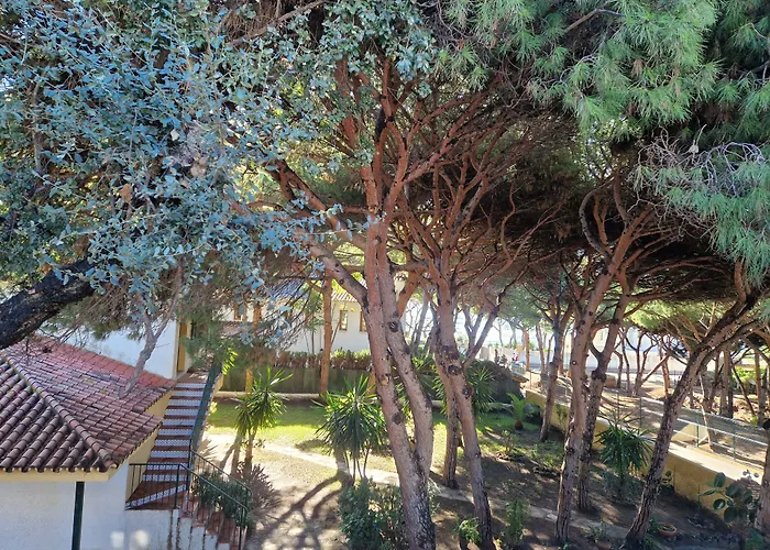 아파트호텔 Costa 마르베야